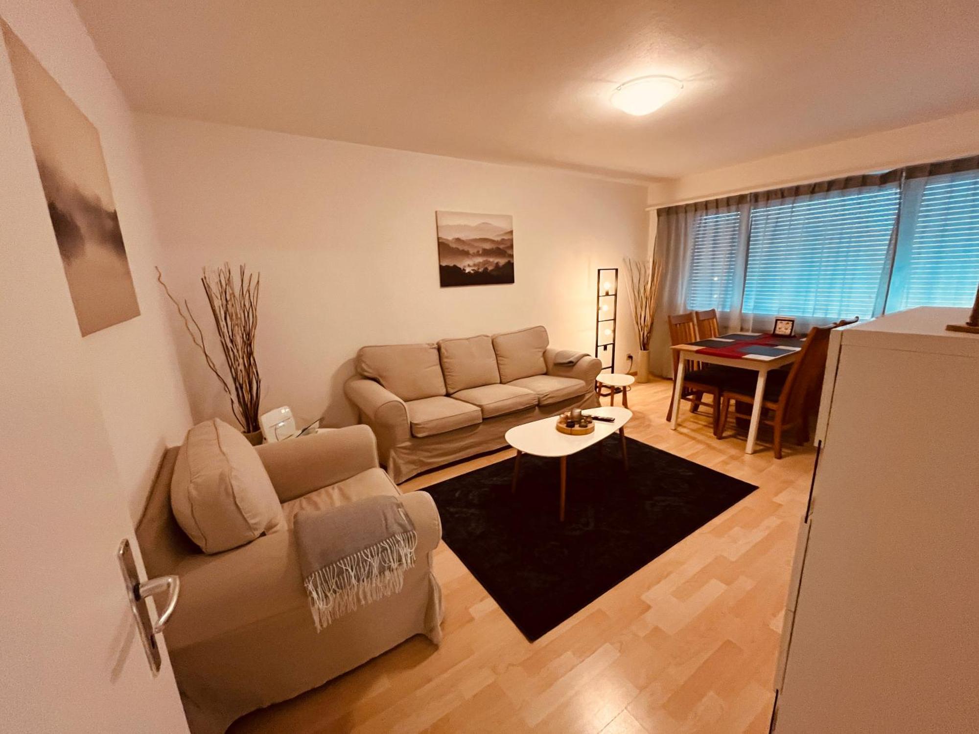 3-Room Apartment For Business Travelers & Families, Free Wifi & Tv With 70 Countries, Dazn, Sky, Netflix & Disney Wynau Exterior photo